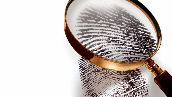 fingerprint-expert-services