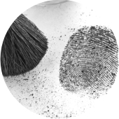 Fingerprint Development & Examination