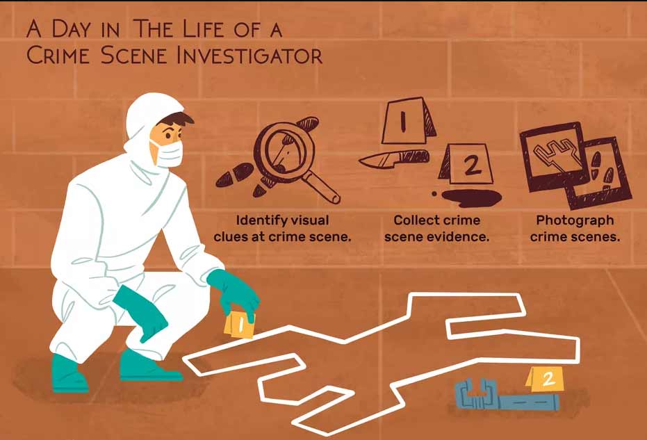 Crime Scene Investigation Brilliant Forensic Investigation Forensic