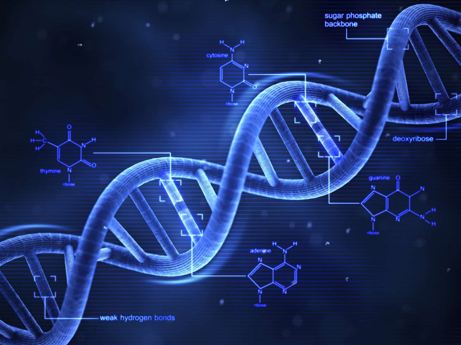 DNA Fingerprinting