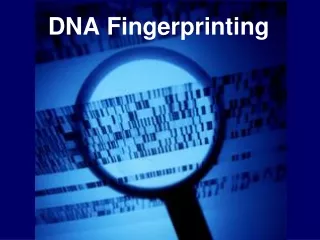 Role-Of-DNA-Fingerprinting-In-Rape-Case-Investigation​