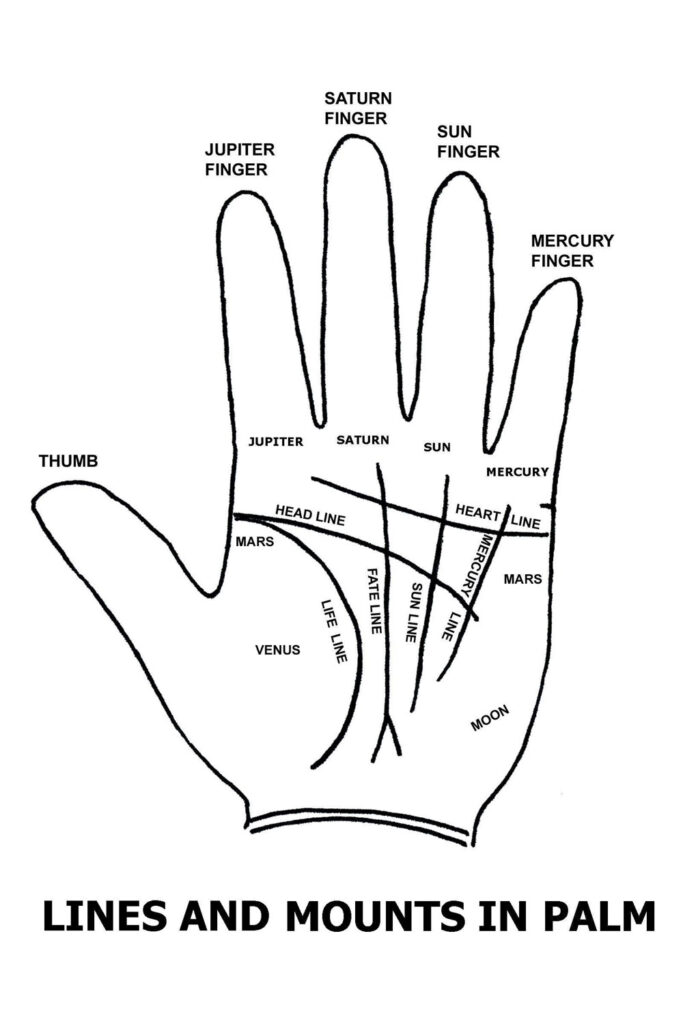lines and mounts palmistry