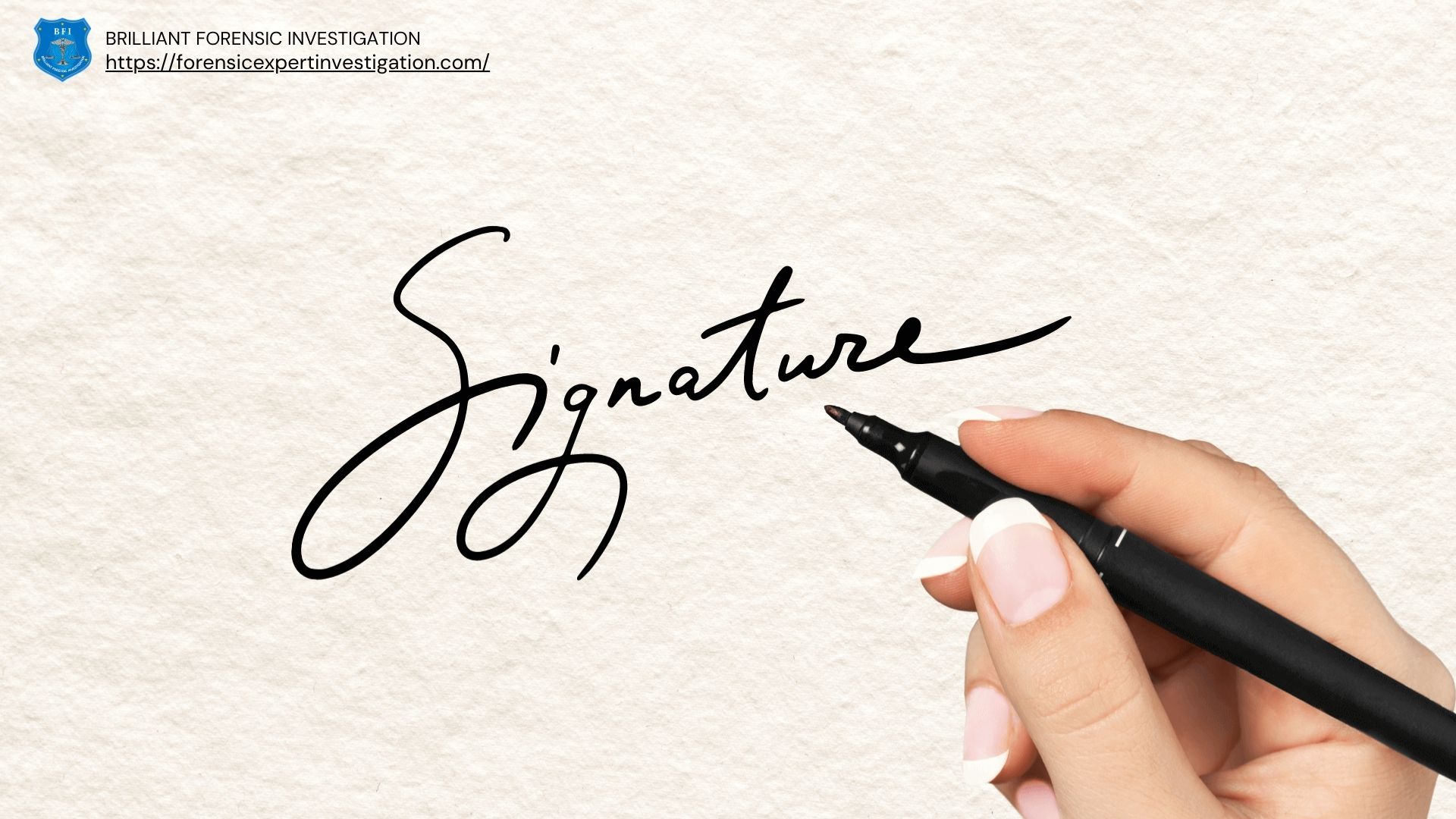 signature expert services