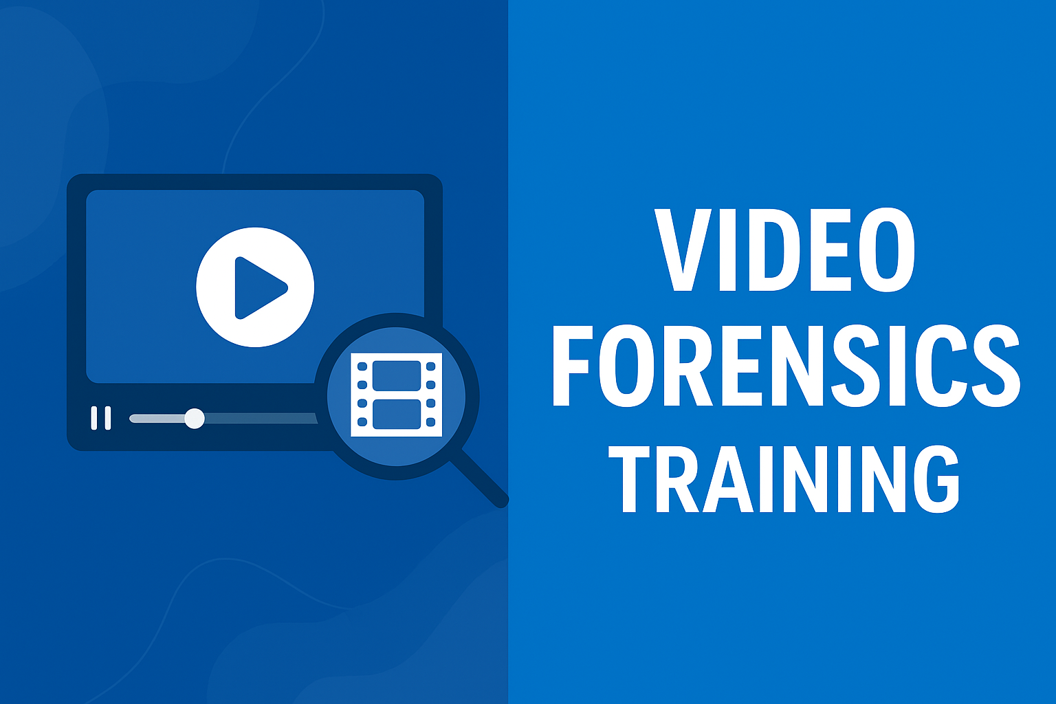video forensics