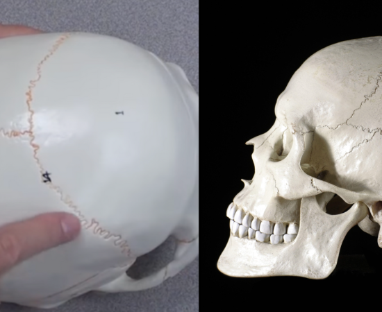 Genetic Profiling for Unidentified Remains​