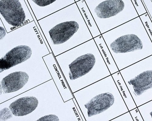 Identification in Licensing Procedures​