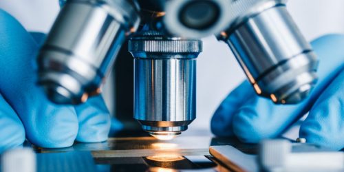 Microscopic & Instrumental Examination​